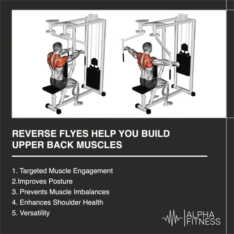 Reverse Flyes Help You Build Upper Back Muscles AlphaFitness