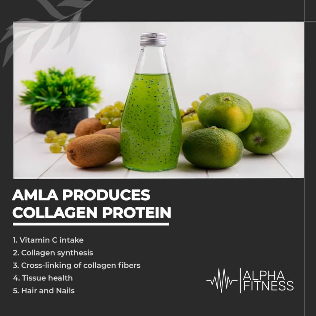 Amla produces collagen protein