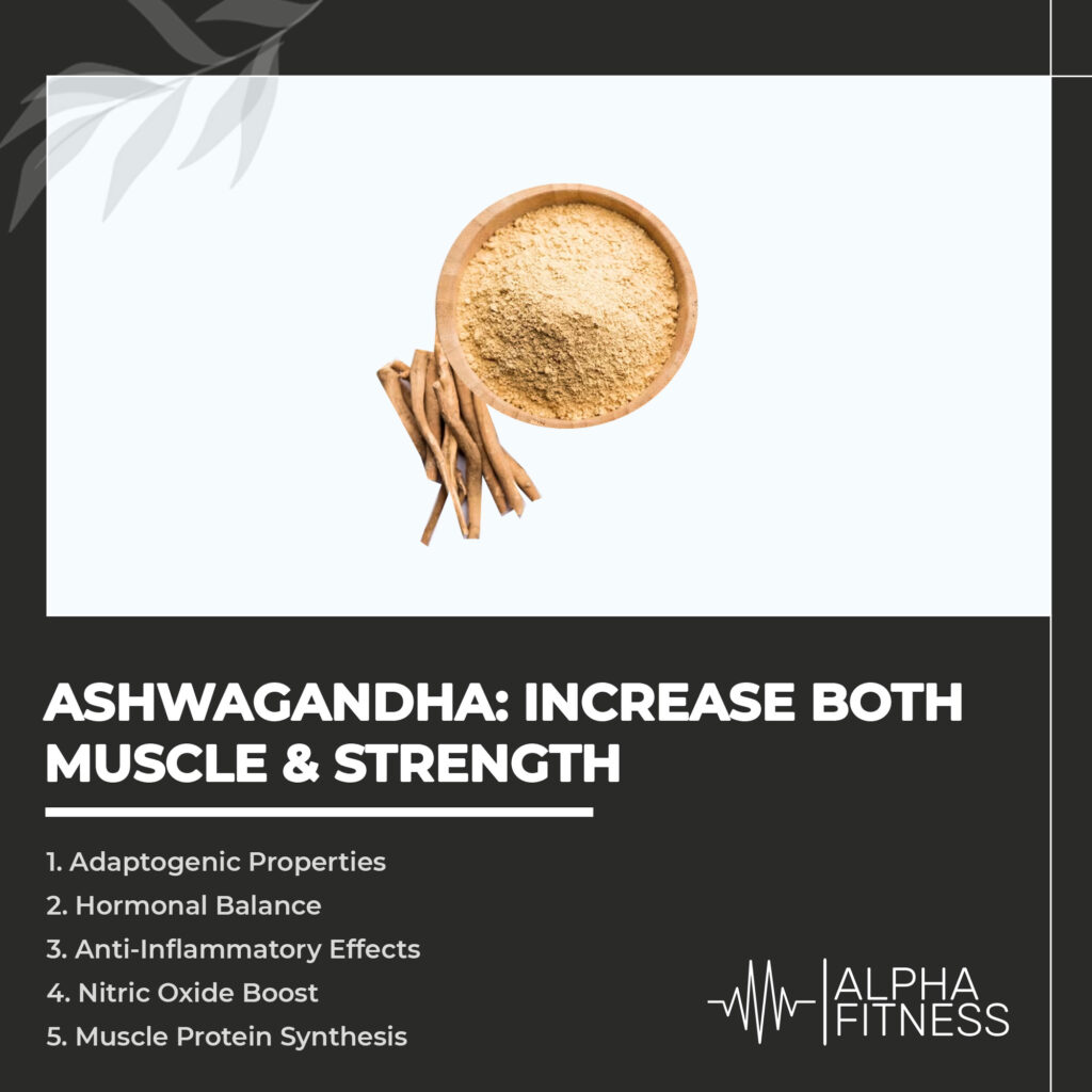 Ashwagandha: increase both muscle & strength
