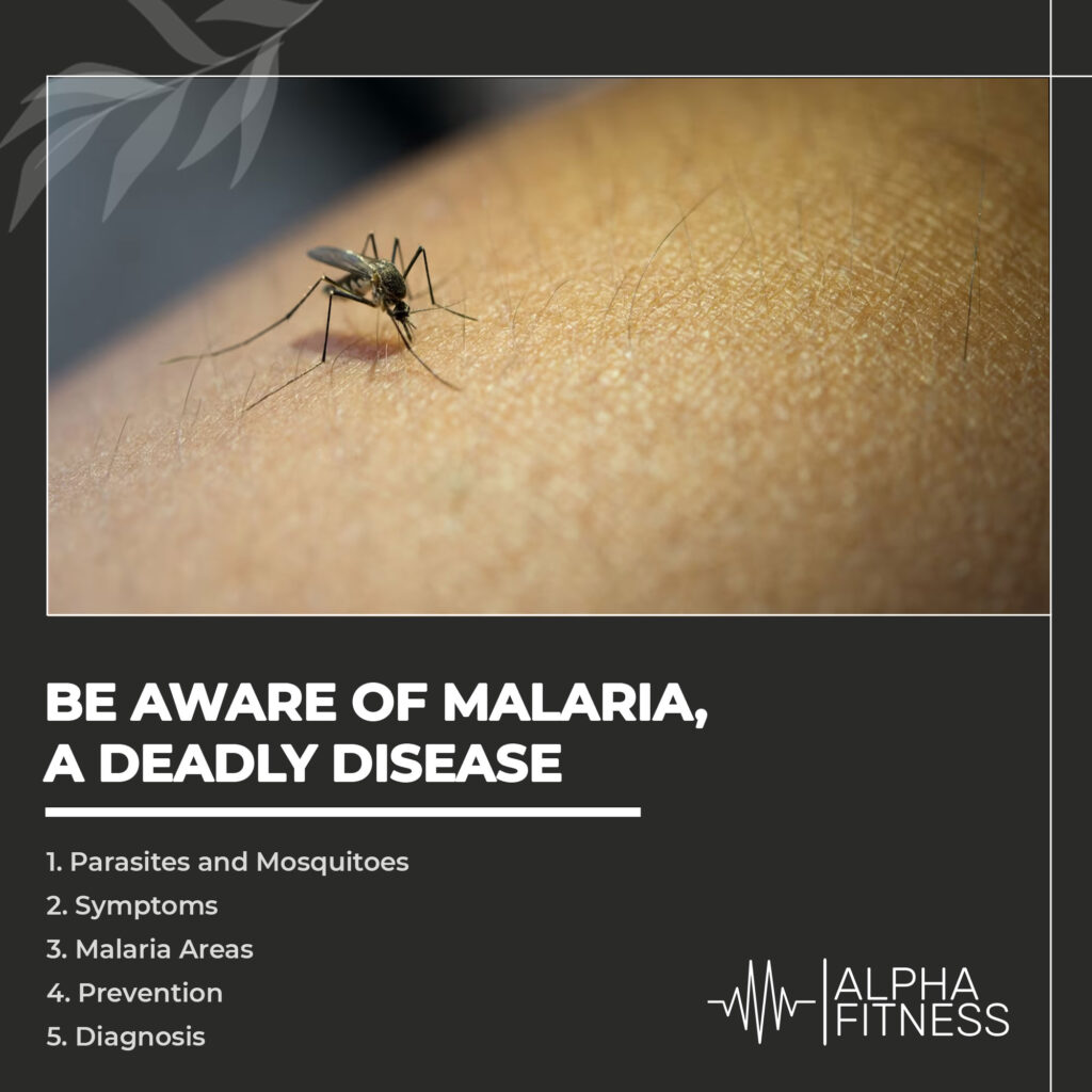 Be aware of malaria, a deadly disease