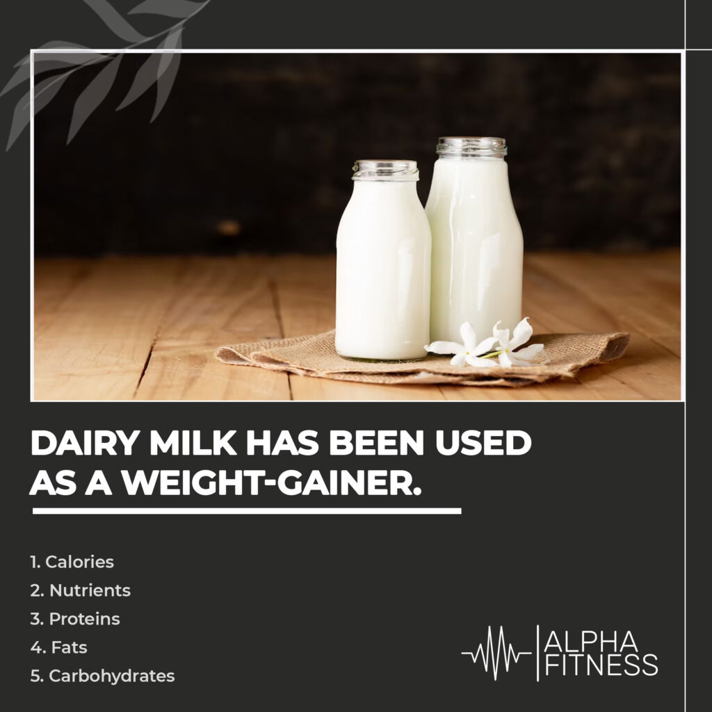 Dairy milk has been used as a weight-gainer.