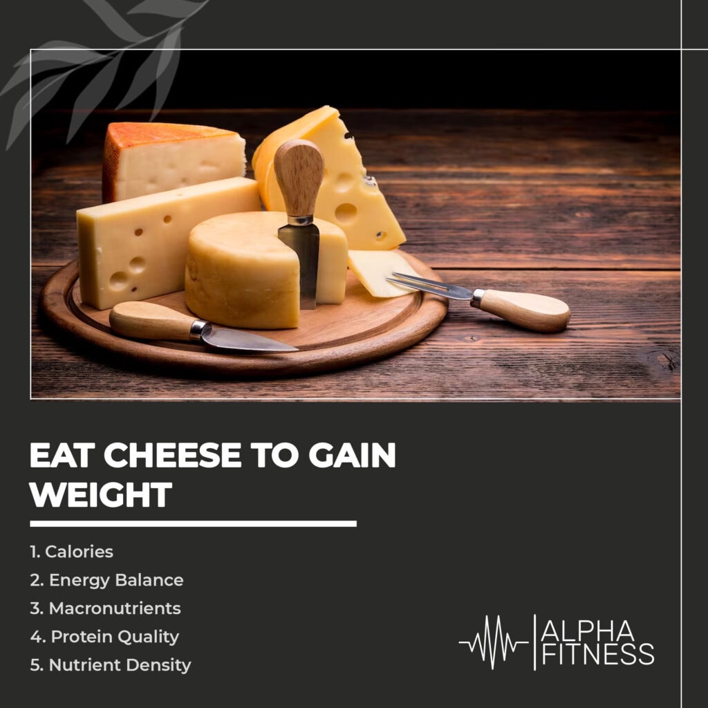 Eat cheese to gain weight