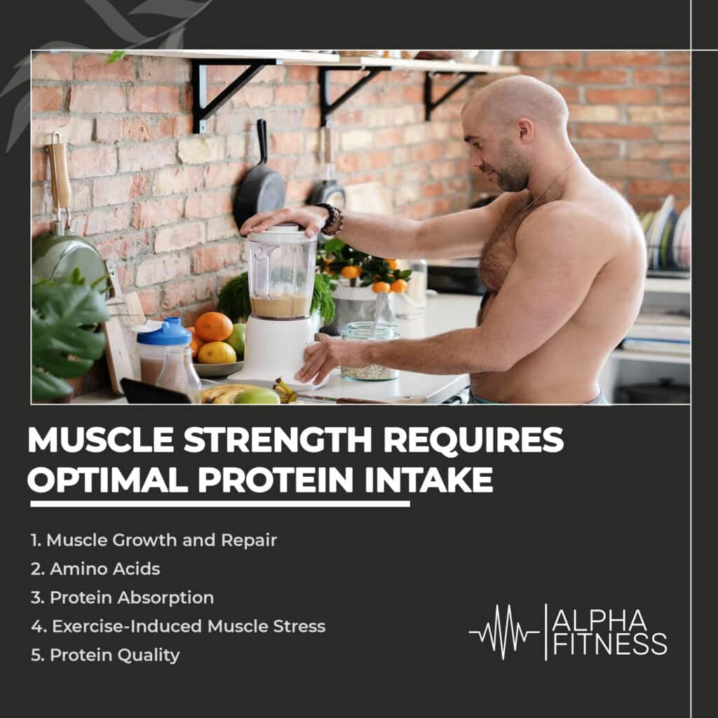 Muscle strength requires the optimal protein intake