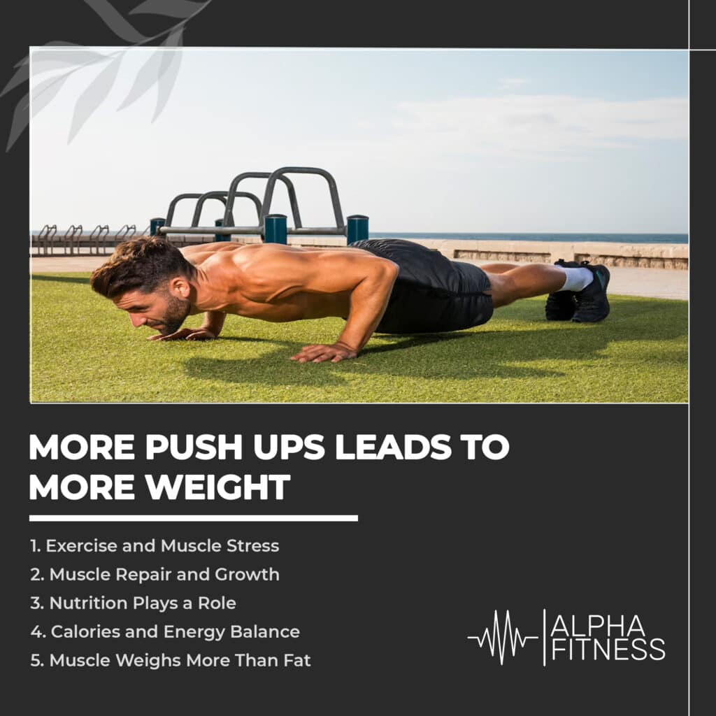 More pushups leads to weight gain