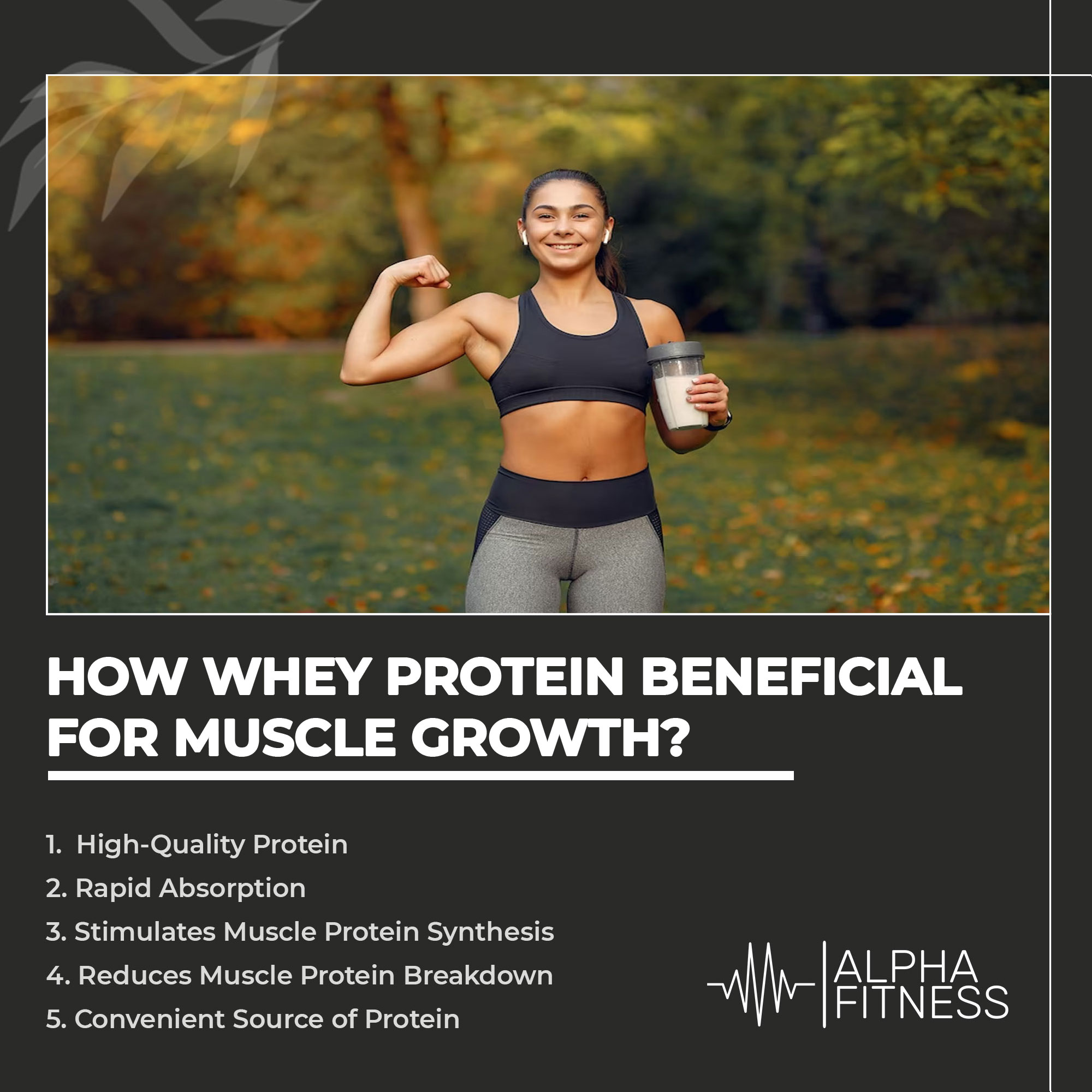 how-whey-protein-beneficial-for-muscle-growth-alphafitness