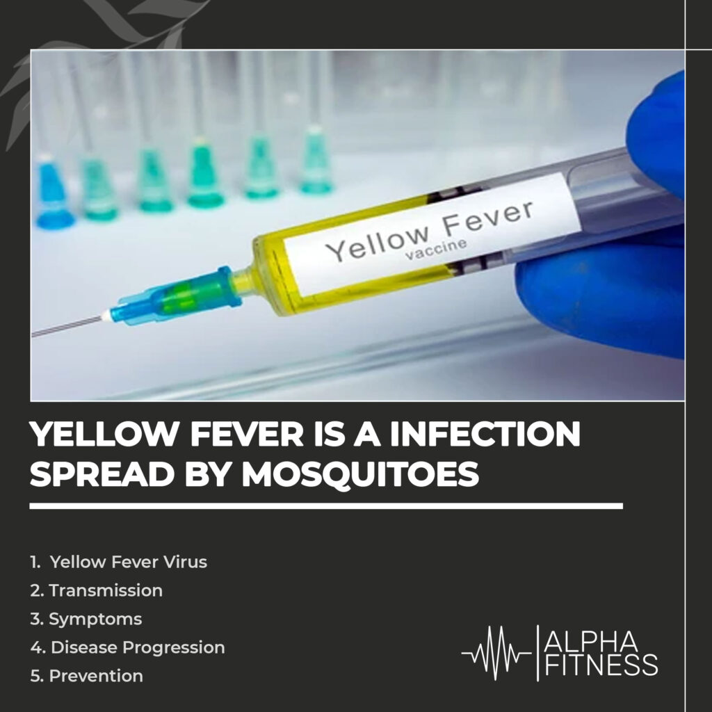 Yellow fever is a infection spread by mosquitoes