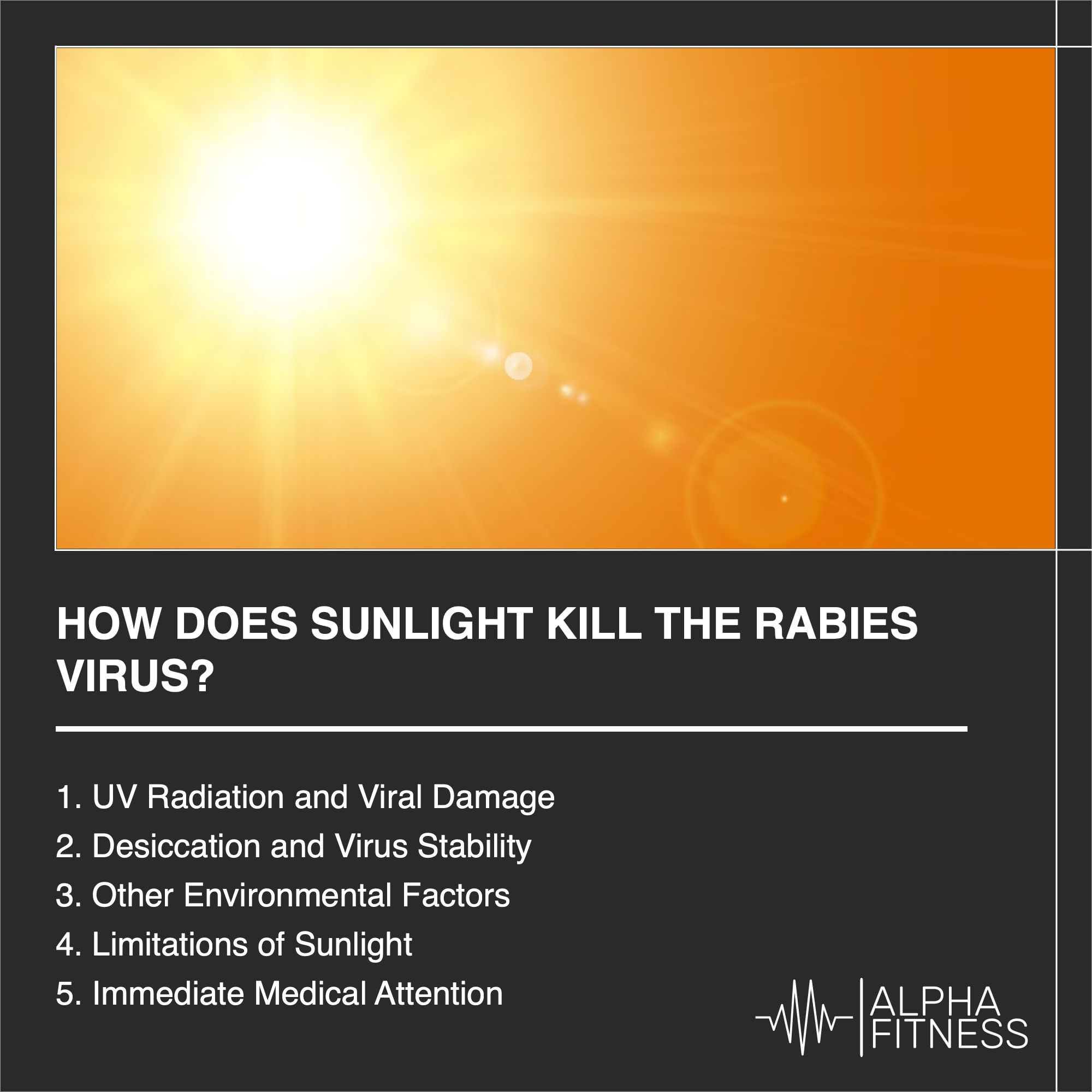 How does sunlight kill the rabies virus? Alpha Fitness