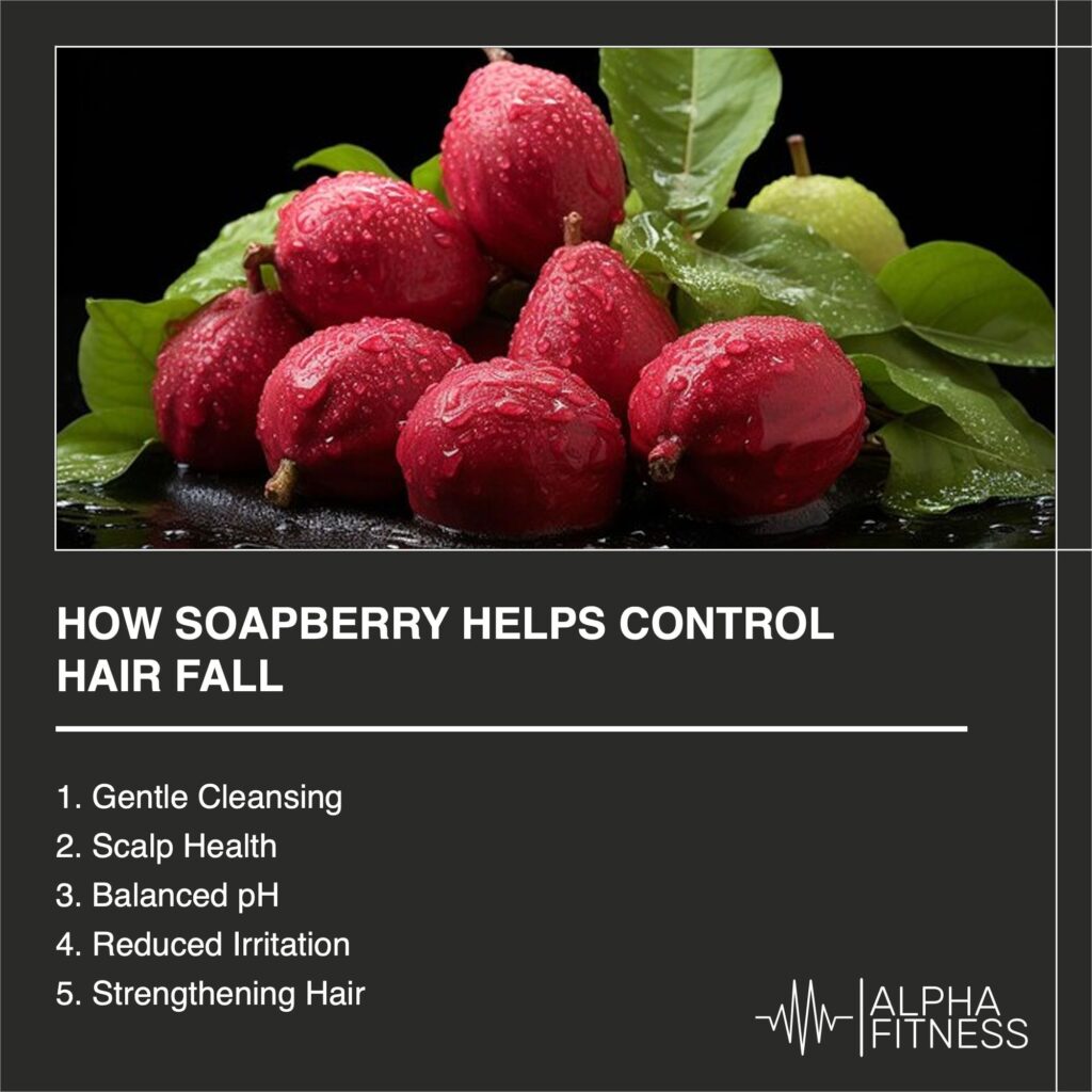 How soapberry helps control hair fall - AlphaFitness.Health