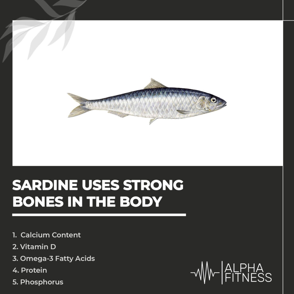 Sardine uses strong bones in the body - AlphaFitness.Health