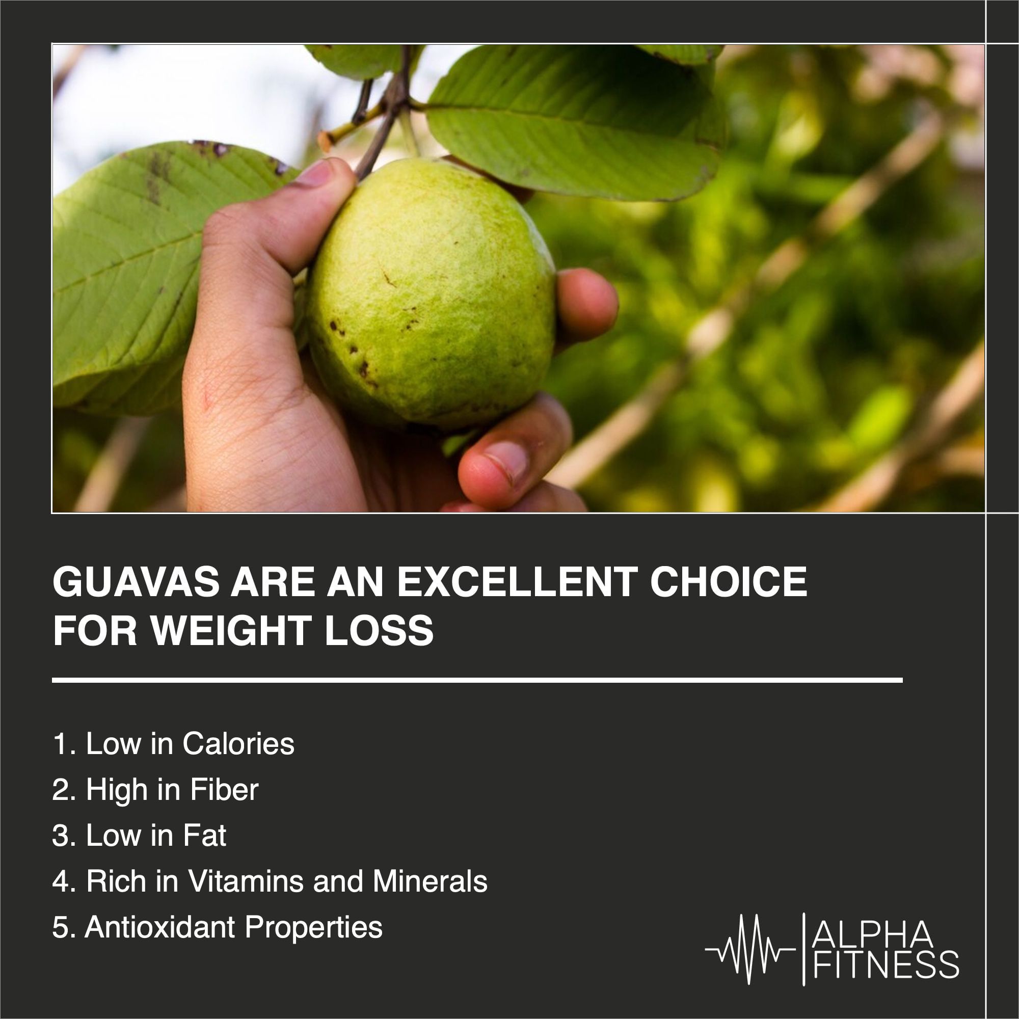 Guavas are an excellent choice for weight loss Alpha Fitness