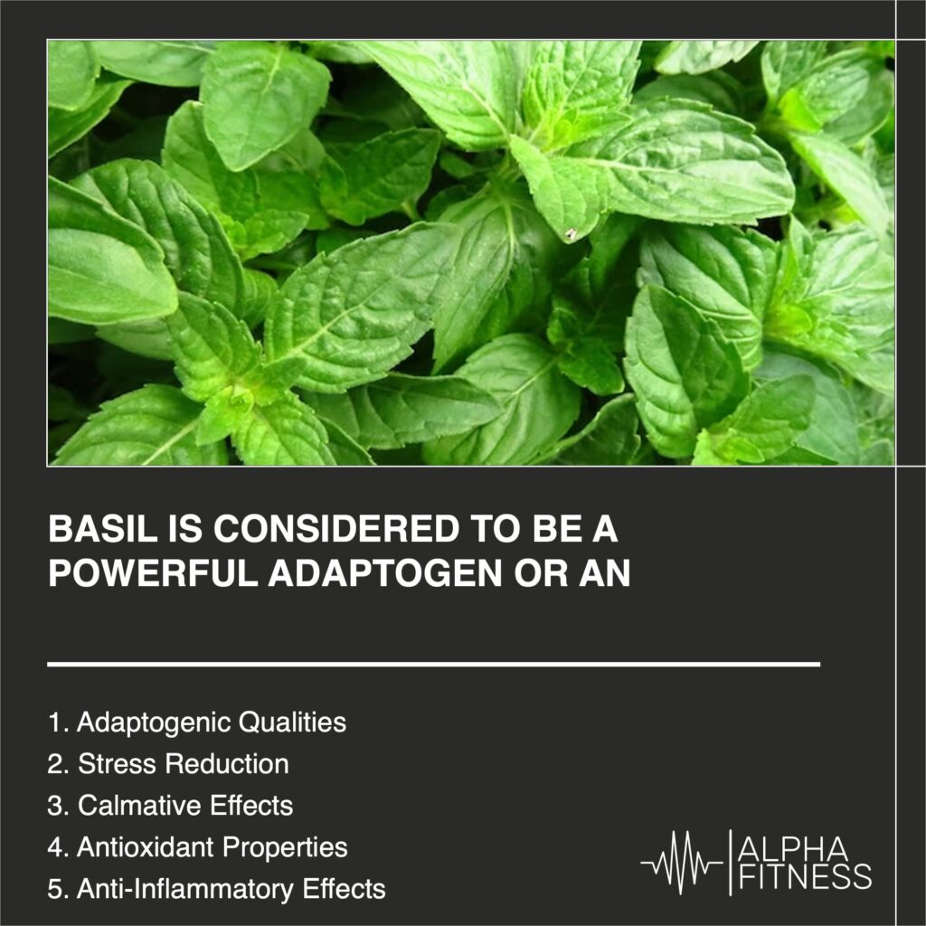 Basil is considered to be a powerful adaptogen or an anti-stress agent - AlphaFitness.Health