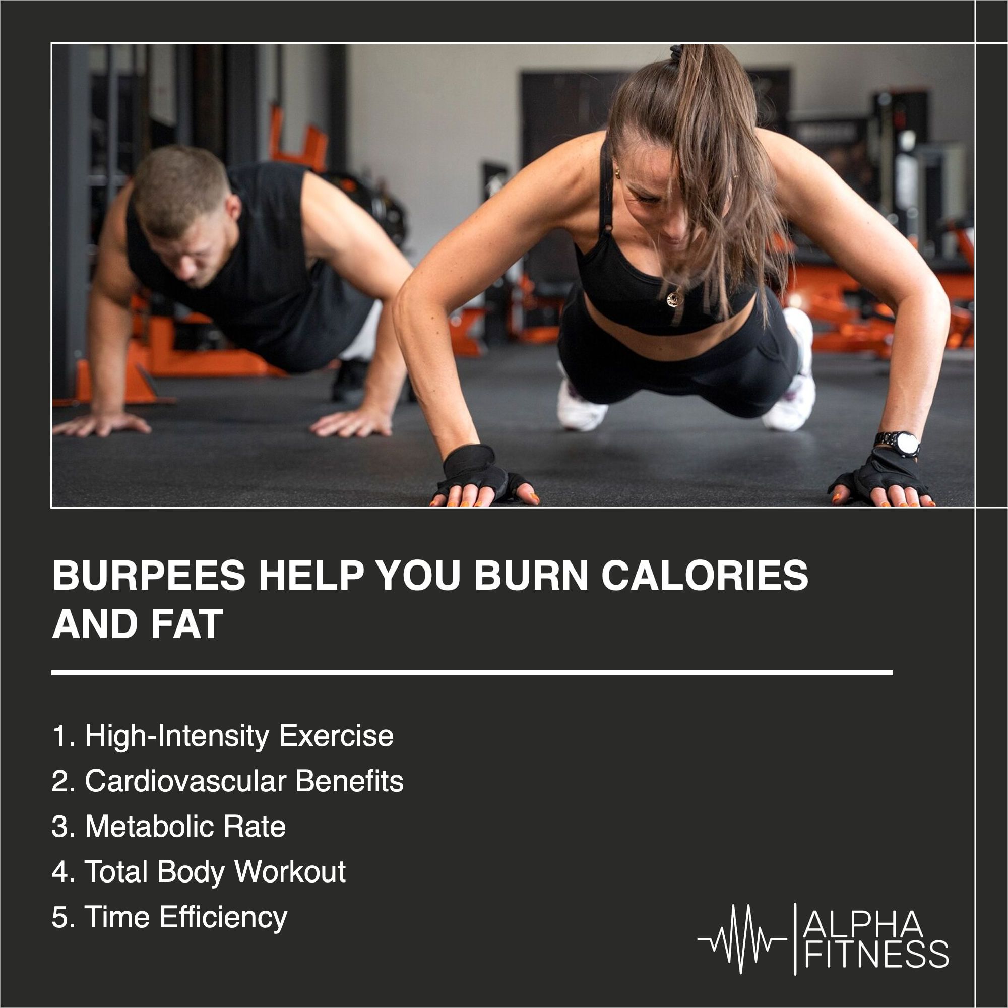 Burpees Help You Burn Calories And Fat Alphafitness 2503