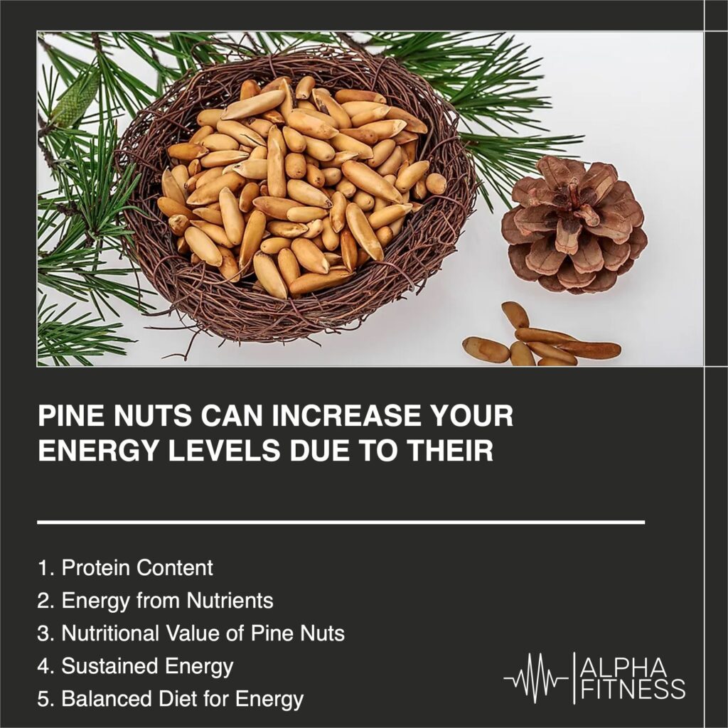 Pine nuts can increase your energy levels due to their protein - AlphaFitness.Health