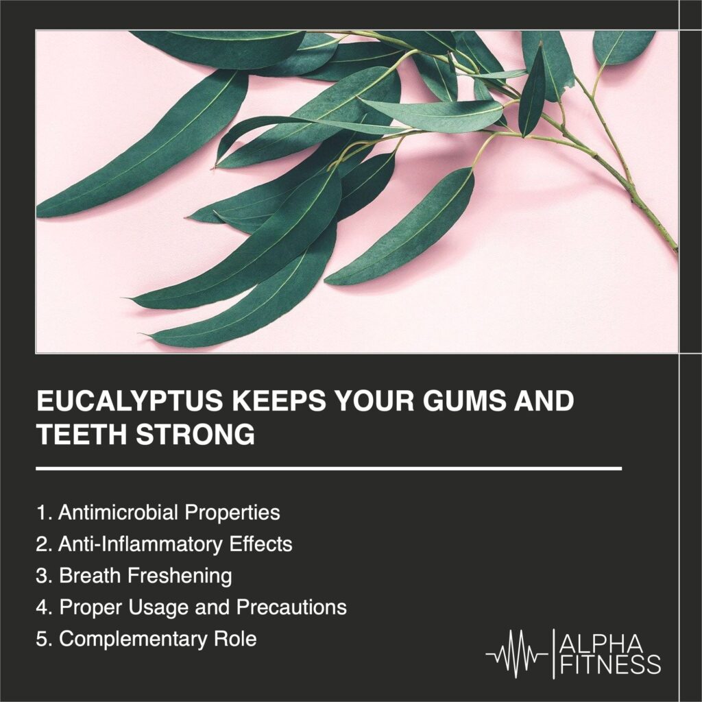 Eucalyptus keeps your gums and teeth strong - AlphaFitness.Health