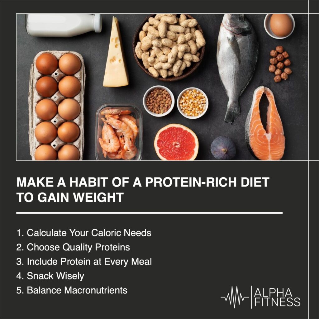 Make a habit of a protein-rich diet to gain weight - AlphaFitness.Health