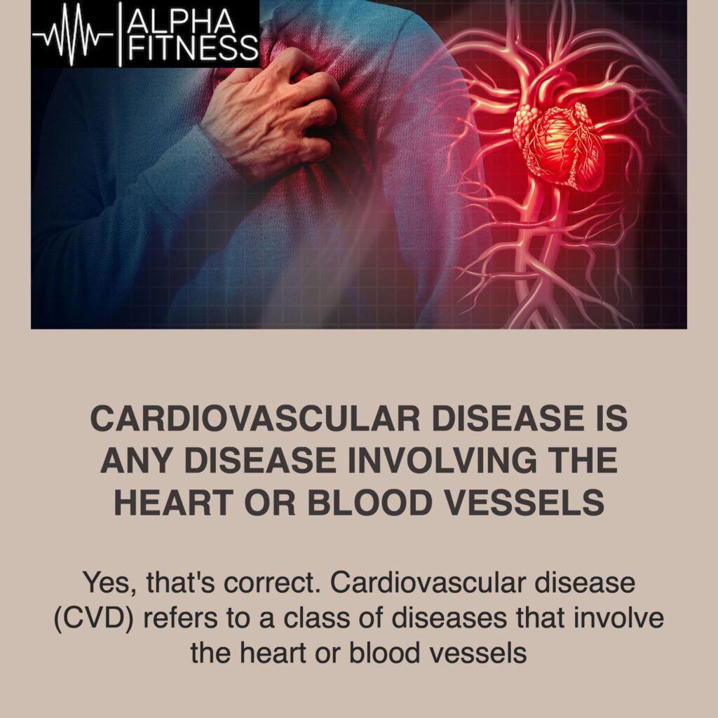 Cardiovascular disease is any disease involving the heart or blood vessels - alphafitness.health