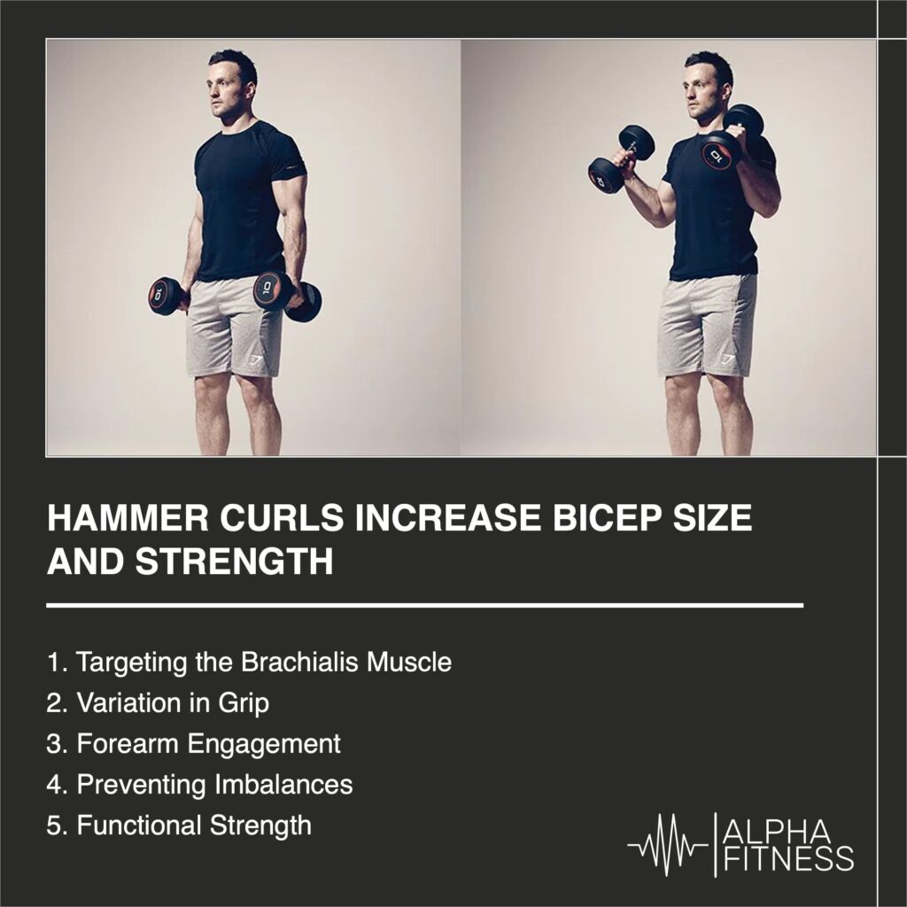Hammer curls increase bicep size and strength - alphafitness.health