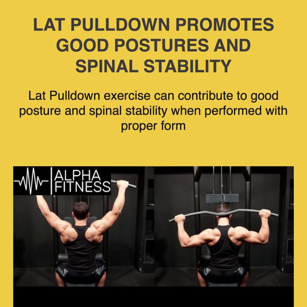 Lat Pulldown promotes good postures and spinal stability - alphafitness.health