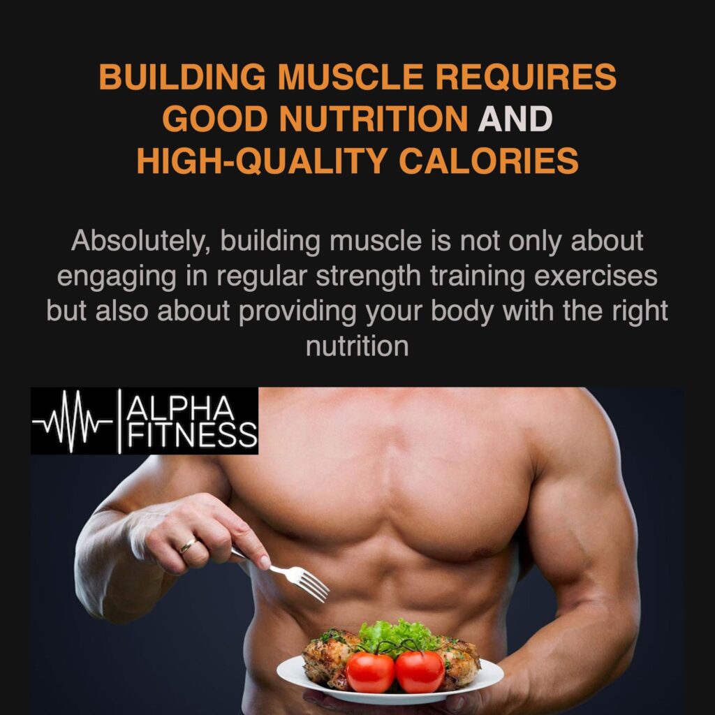 Building muscle requires good nutrition and high-quality calories - alphafitness.health