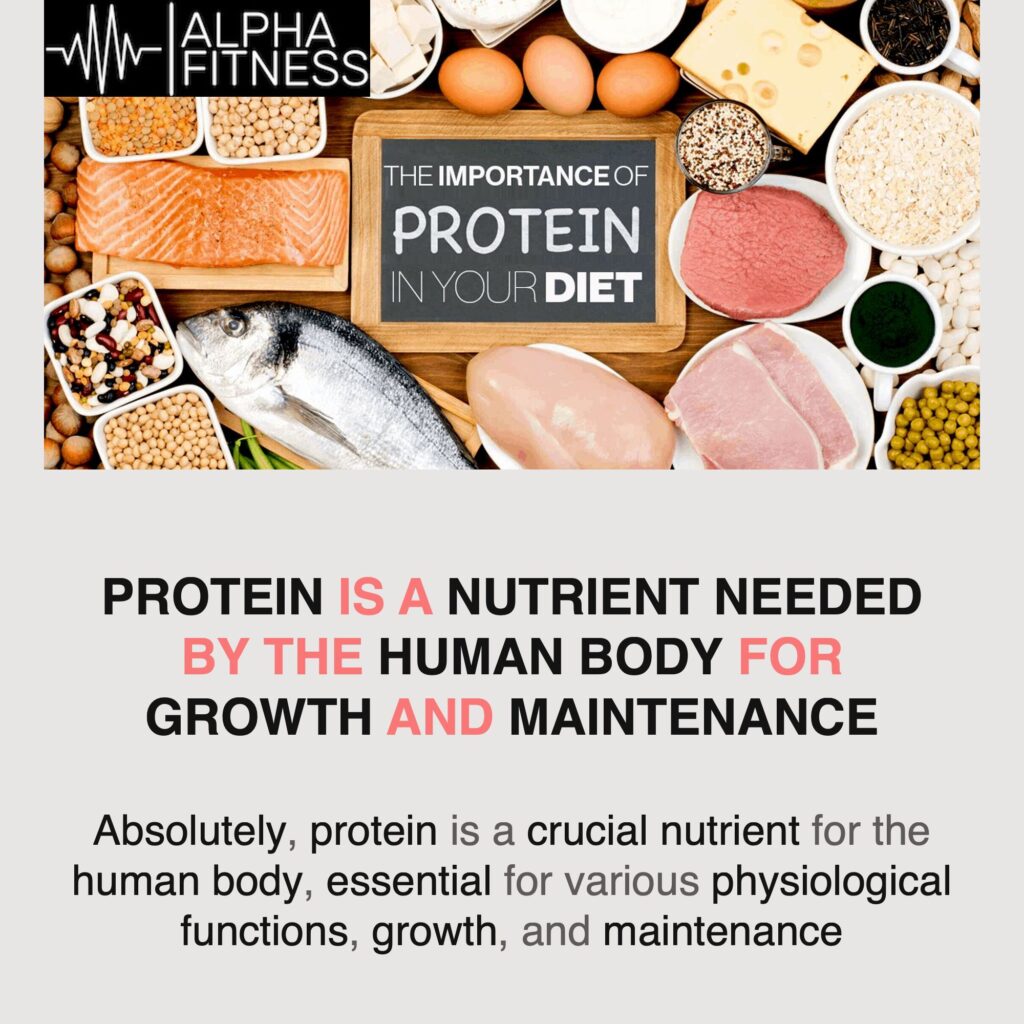 Protein is a nutrient needed by the human body for growth and maintenance - alphafitness.health