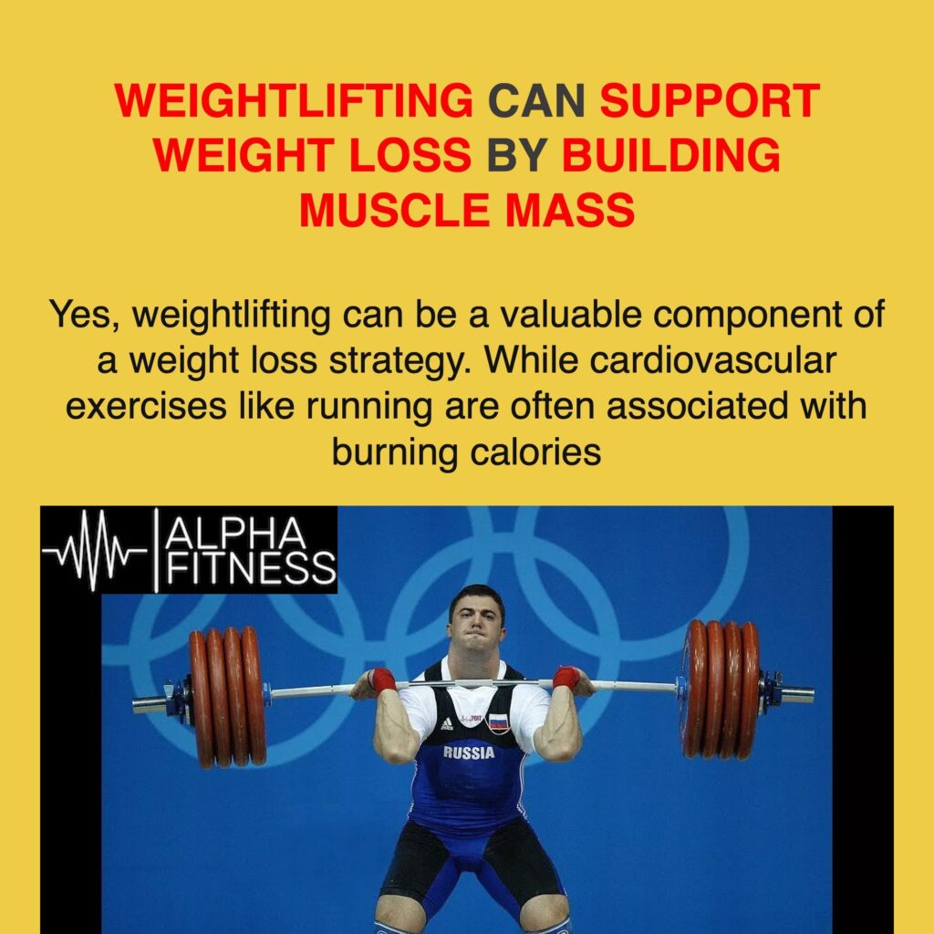 Weightlifting can support weight loss by building muscle mass - alphafitness.health