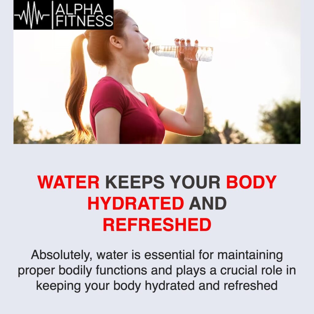 Water keeps your body hydrated and refreshed - alphafitness.health
