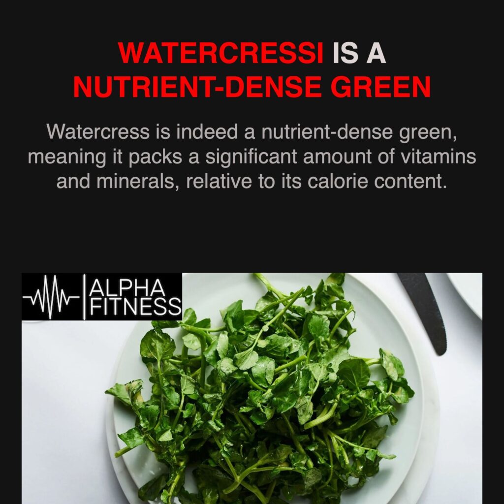 Watercressi is a nutrient-dense green - alphafitness.health